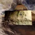 Уникални пещерни рисунки на 15 000 години откриха в Испания