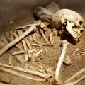 Скелети на гиганти са най-новата атракция в крепостта Русокастро край Бургас