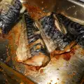 Oven-Baked Mackerel with Olive Oil