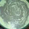 Бисквитен сладкиш с крем ванилия