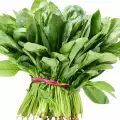 How to Store Fresh Spinach?