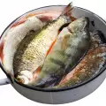 Само 22 килограма риба е била иззета от БАБХ по Никулден