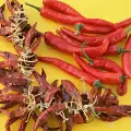 How to Dry Hot Peppers?
