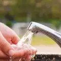 Начини за пестене на водата у дома