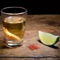 Tequila