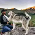 Уникална история! Вълкът Локи и най-добрият му приятел обикалят Колорадо