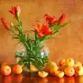 Как по-дълго да съхраните цветята във вазата