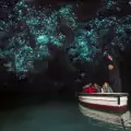 Пещерният комплекс Уейтомо омагьосва със светлинното си шоу