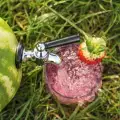 Watermelon Peel - Why is it Healthy?