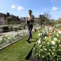 Бяла градина в чест на принцеса Даяна бе открита в Лондон