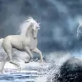 Symbolism of the Unicorn