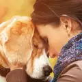 Приятелството с кучето удължава дните му
