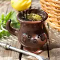 Yerba Mate - The Secret Drink with Miraculous Properties