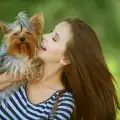 Дребни породи кучета за жени