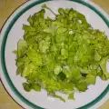 Tasty Lettuce Salad