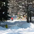 Пътищата в Благоевградско в готовност за зимните условия