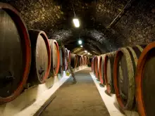 Музей на виното отваря врати в село Брестовица