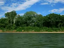 Централен природен резерват Суринам