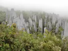 Национален парк Гунунг Мулу