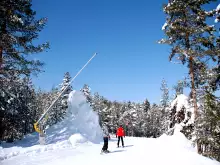 На ски в Чепеларе