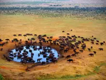 Резерват Масай Мара (Masai Mara)
