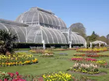 Топ 5 на най-красивите ботанически градини