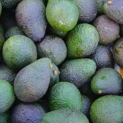 Как да разберам кога авокадото е развалено