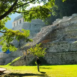 Mysterious Temple Revealed in a Mexican Pyramid after Earthquake