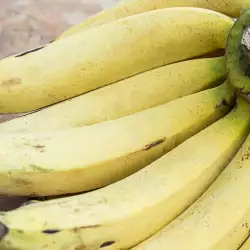 Кратка история на банана