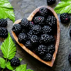 Blackberry Leaves - Benefits and Uses