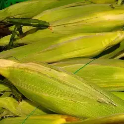 Полезните свойства на царевицата