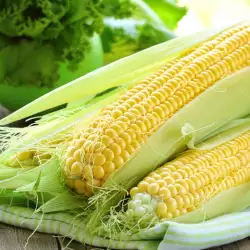 Как се замразява царевица за варене