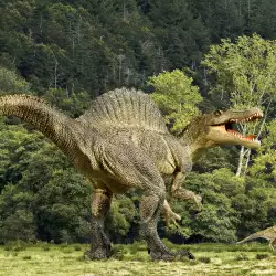 Откриха нов вид динозавър
