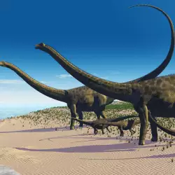 Dinosaur Myths you Probably Believe