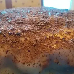 Домашна торта с шоколадова поръска
