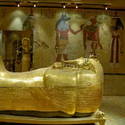 Tutankhamun died because of blood poisoning