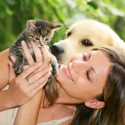 Healing Power of Dogs and Cats