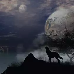 Призрак на вълк пази родопско селце