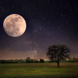 How Many Times a Year is There a Full Moon?