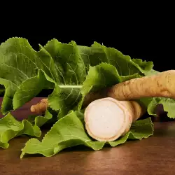 Horseradish Leaves - All Benefits and Uses