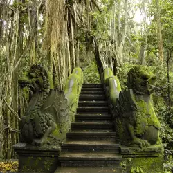 Ancient City of Man-Ape Civilization Discovered