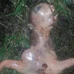 American Woman Finds Alien Body in her Backyard