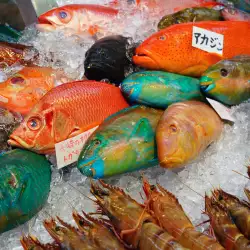 Рибите и морските деликатеси в японската кухня