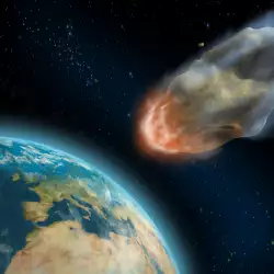 Костенурките са преживели метеорита, убил динозаврите