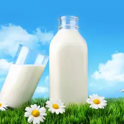 Животинско или растително мляко - кое е по-добро за теб
