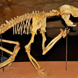 Вкаменелостите на Ривърслей и Наракурте в Австралия