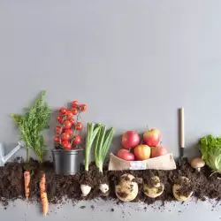Видове зеленчуци