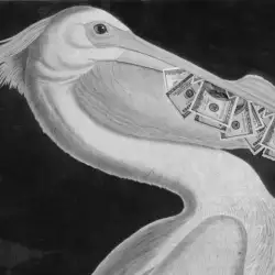Късметлийска снимка на пеликан привлича парите