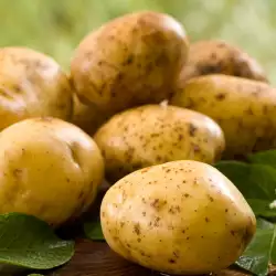 Полезна ли е кората на картофите?