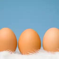 Proper storage of eggs
